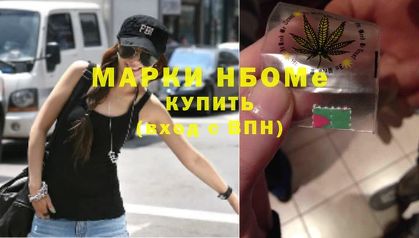 шишки Покачи