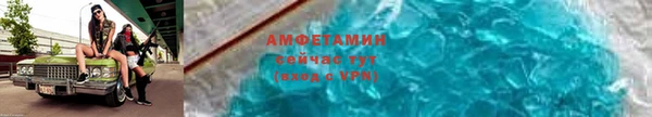 шишки Покачи
