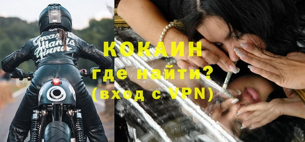 шишки Покачи