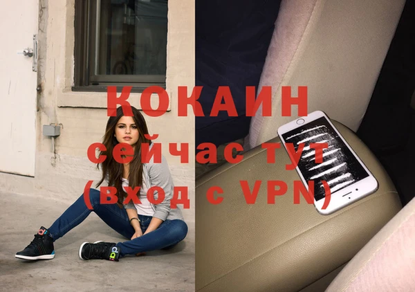 молекула духа Алексин