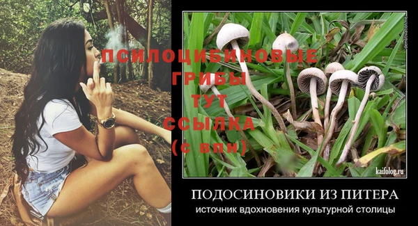 Альфа ПВП Алзамай