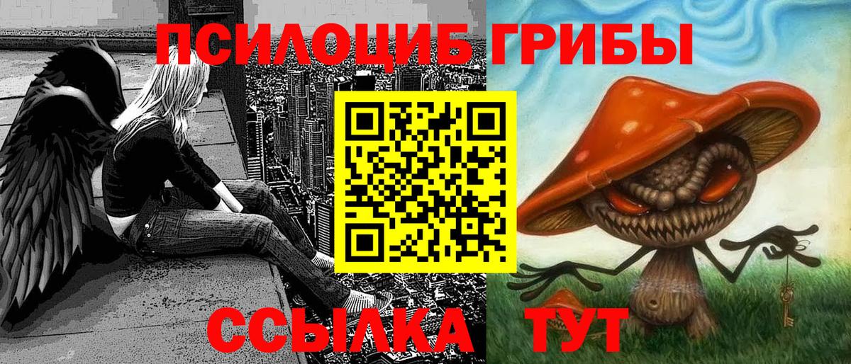 Галлюциногенные грибы Psilocybe Березники
